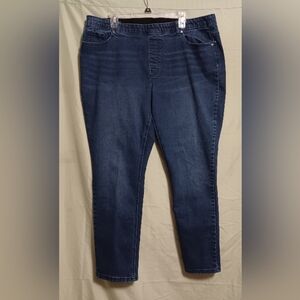 A DG2 By Diane Gilman Classic Blue Women's Denim Jeans